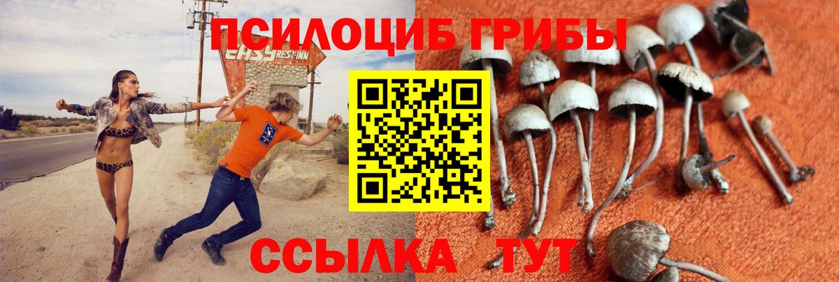 Псилоцибиновые грибы MAGIC MUSHROOMS  Вход с VPN  Воркута 